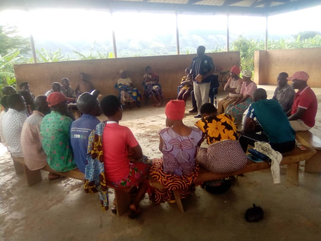 WhatsApp Image 2025-11-22 at 21.24.04_02378ed2 1